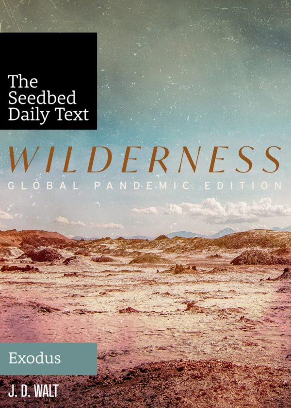 Wilderness (The Seedbed Daily Text: Exodus)