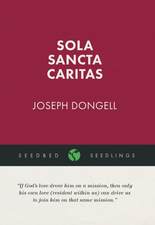 Sola Sancta Caritas Seedling - Seedbed