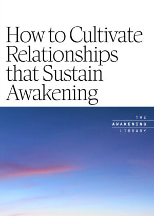 Awakening Library: How to Cultivate Relationships that Sustain Awakening